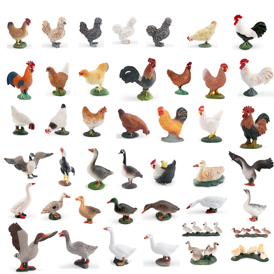 Simulation Farm Poultry Animal - Home Improvement Kids บทวิจารณ์และราคา