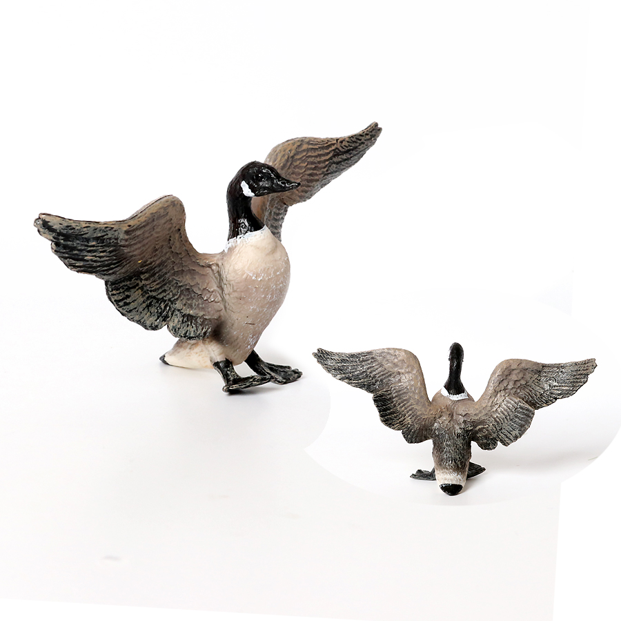 Simulation Farm Poultry Animal - Home Improvement Kids บทวิจารณ์และราคา